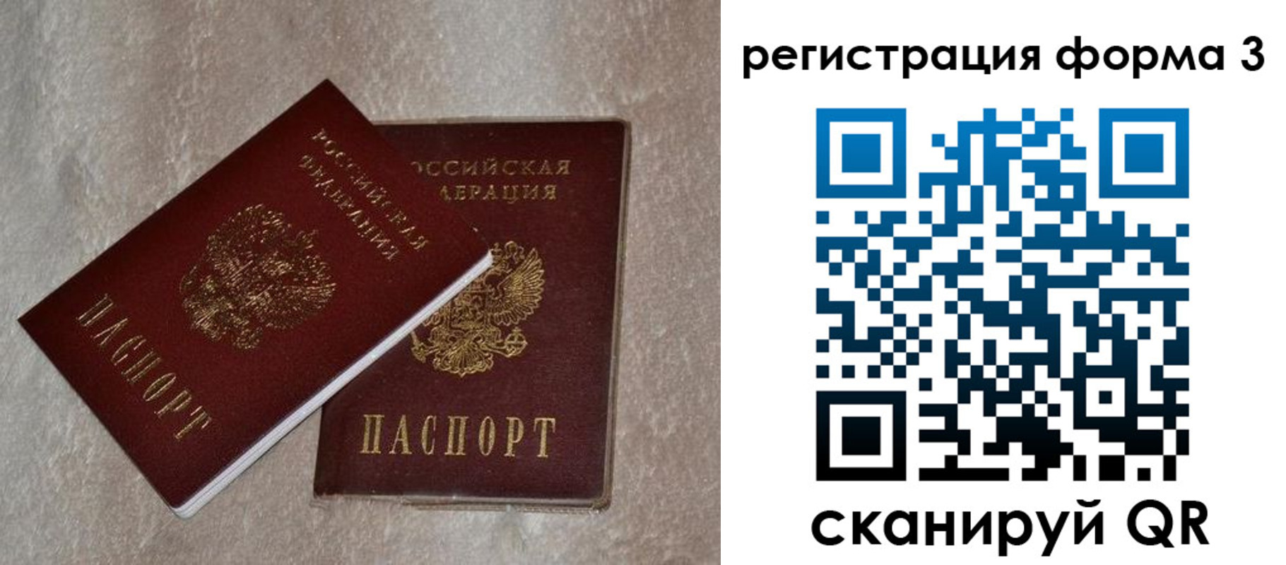 где прописаться в Елизово