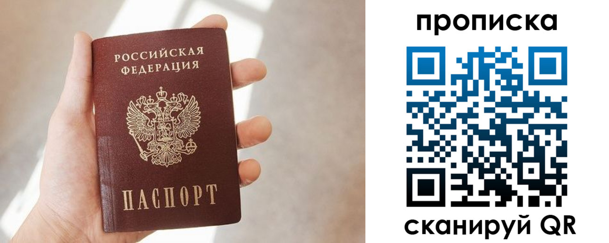где прописаться в Елизово